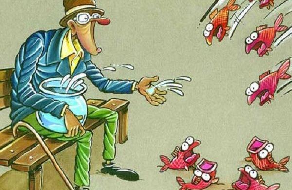 عکس ضرب المثل ها