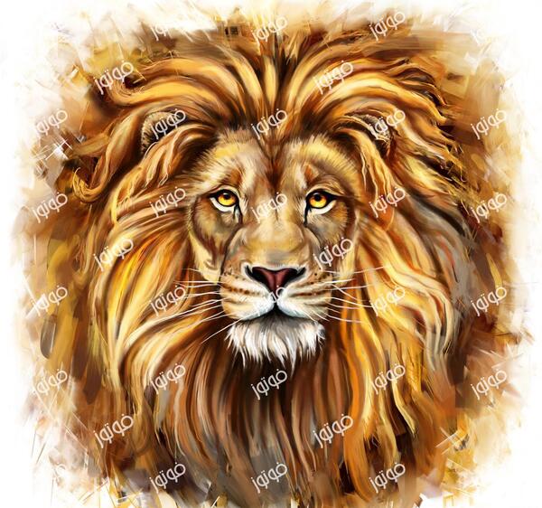 عکس شیر طلایی