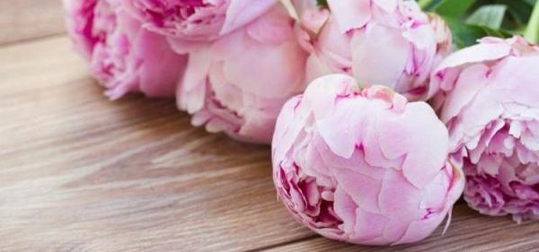 عکس گل صد تومانی