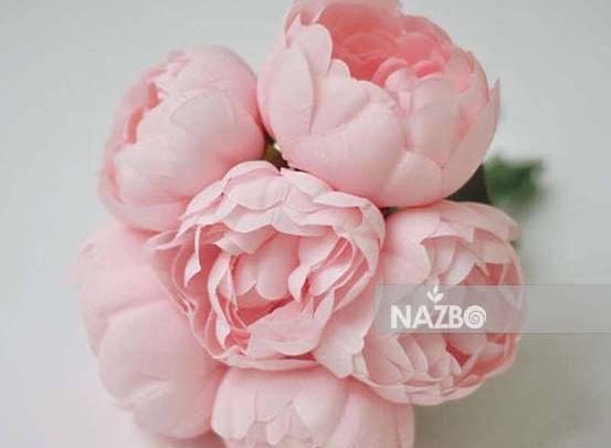 عکس گل صد تومانی