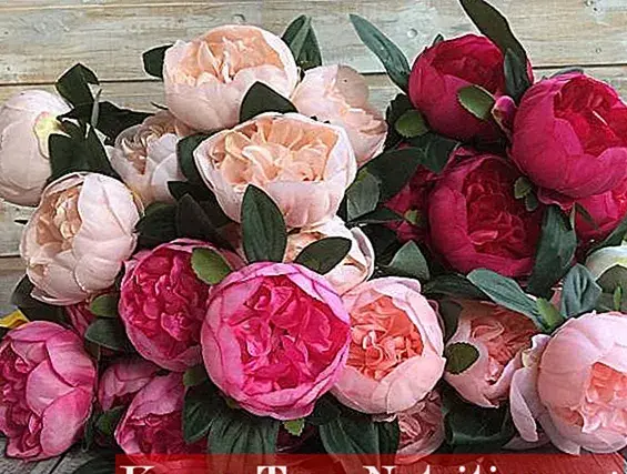 عکس گل صد تومانی