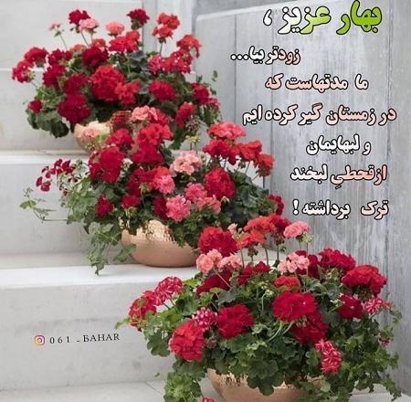 عکس های بهاری اینستاگرام
