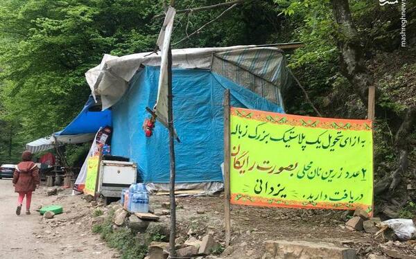 عکس طبیعت جالب
