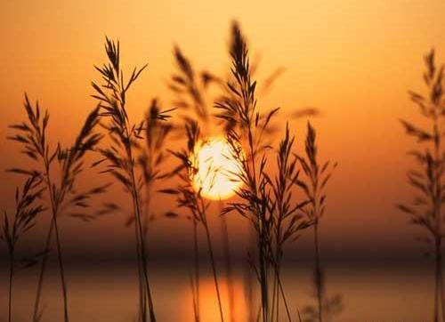 عکس طبیعت غم