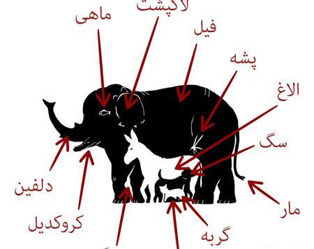 عکس های جالب معمایی