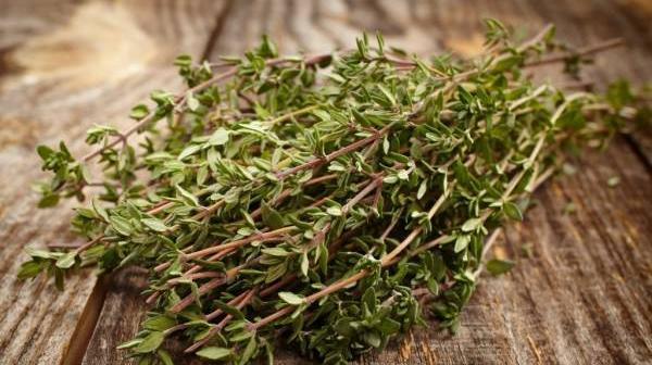 عکس نوشته اسم آویشن