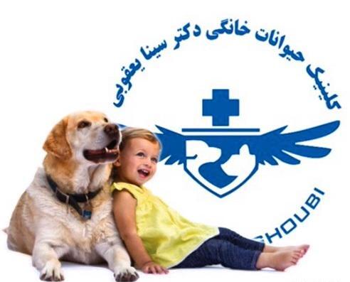 عکس سینا یعقوبی