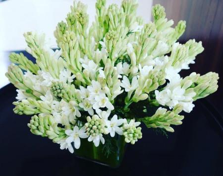 عکس یک دسته گل مریم