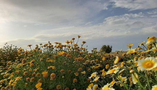 عکس زیبا از طبیعت اردیبهشت