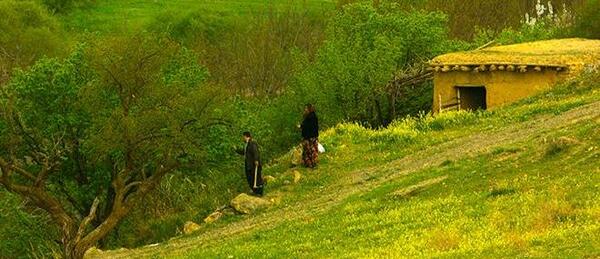 عکس زیبا از طبیعت اردیبهشت