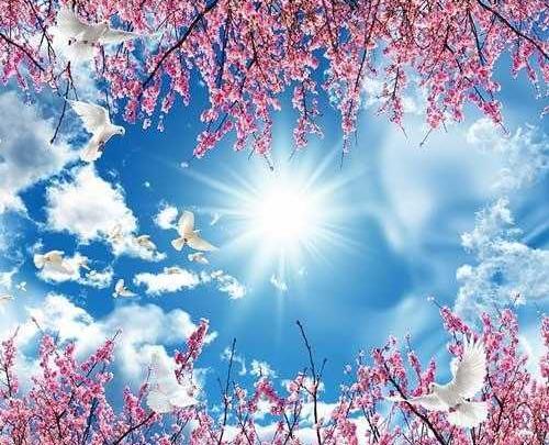 عکس زیبای آسمان برای پروفایل