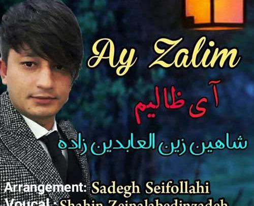 عکس شاهین زین العابدین