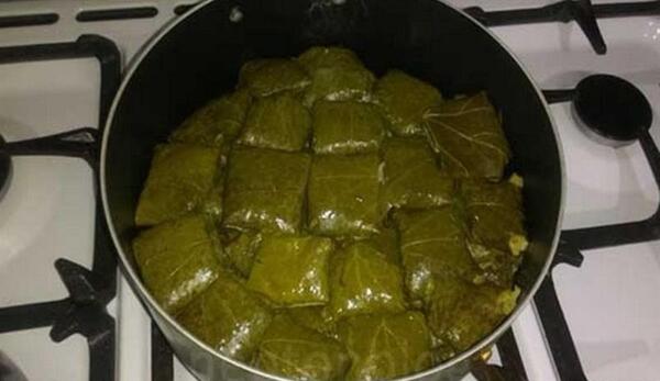 عکس غذا دلمه