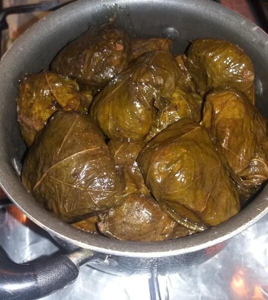 عکس غذا دلمه