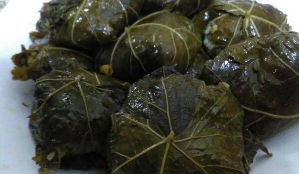عکس غذا دلمه