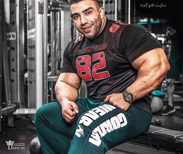 عکس احسان قویدل