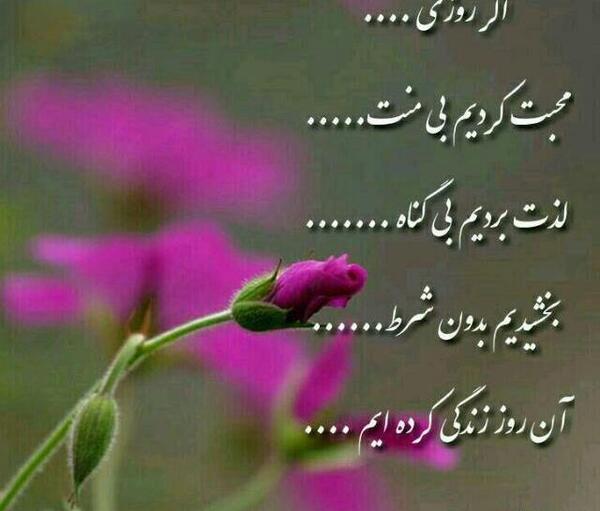 عکس نوشته زیبا زندگی کن