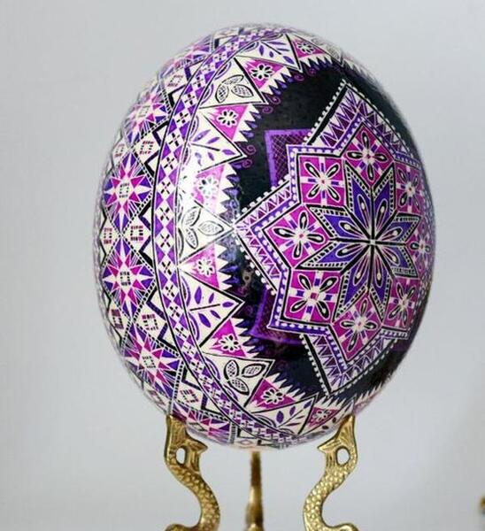 عکس طراحی شترمرغ