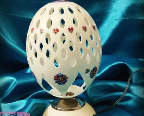 عکس طراحی شترمرغ