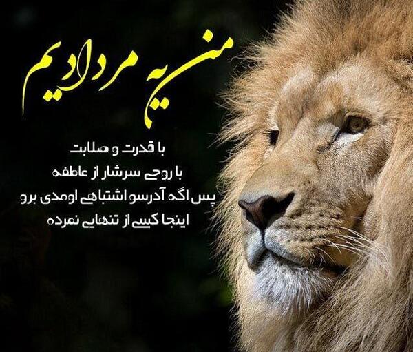 عکس نوشته قدرت دختر