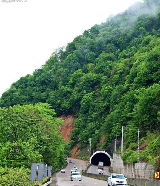 عکس شیرگاه