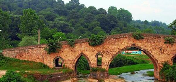 عکس شیرگاه