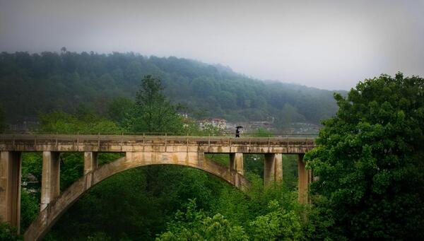 عکس شیرگاه