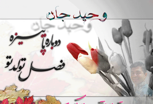 عکس تولدت مبارک وحید جان