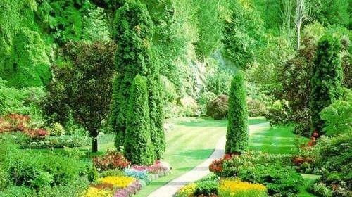 عکس از طبیعت جذاب