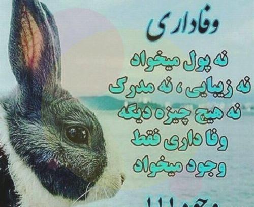عکس رفیق وفادار