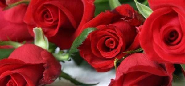 عکس گل های زیبا برای پروفایل