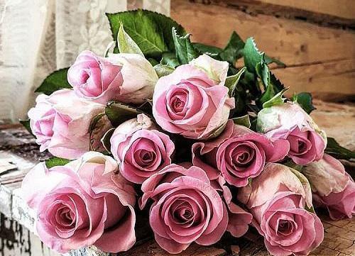 عکس گل های زیبا برای پروفایل