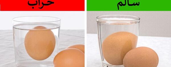 عکس های جالب آشپزی