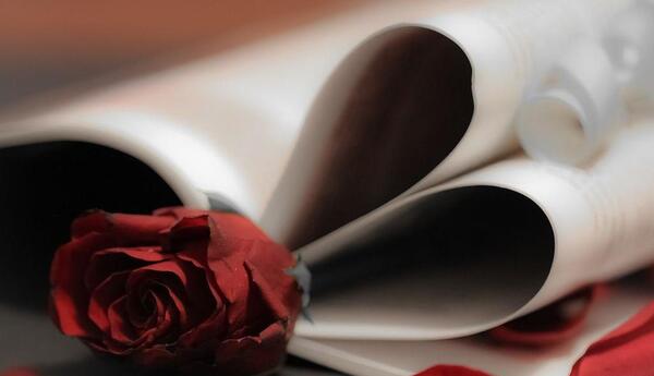 عکس گل رز لای کتاب