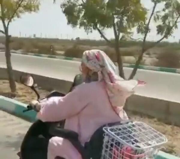 عکس حجت رهنما
