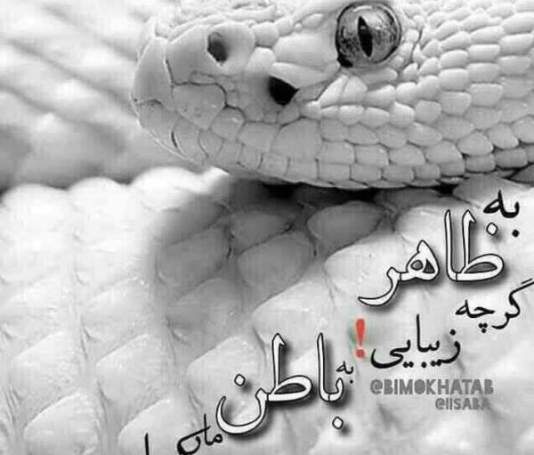 عکس نوشته ظاهر زیبا