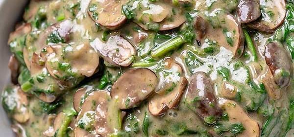 عکس غذا قارچ