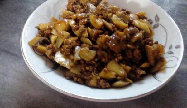 عکس غذا قارچ
