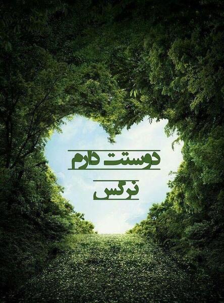 عکس نوشته نرگس دوستت دارم