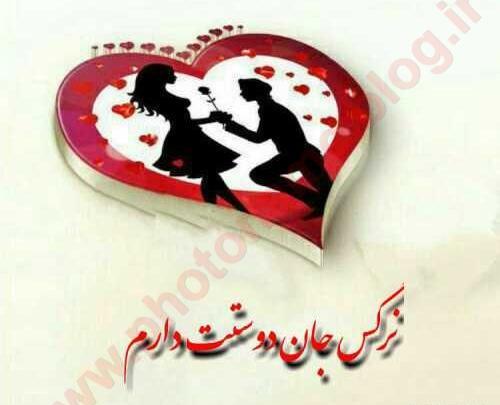 عکس نوشته نرگس دوستت دارم