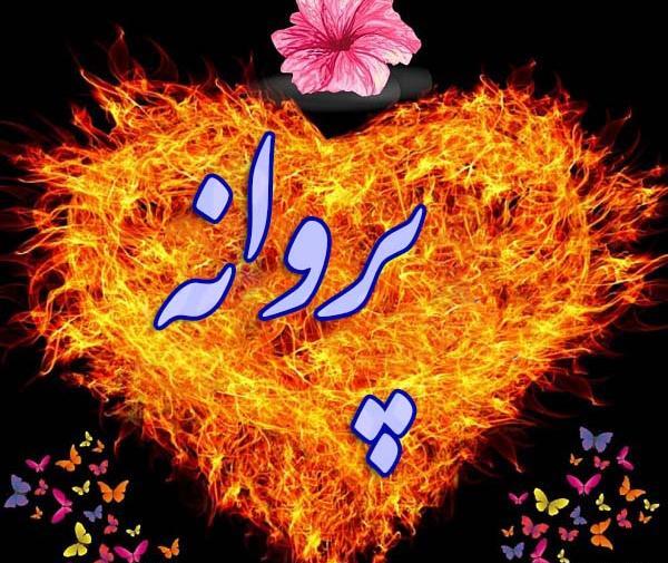 دانلود عکس نوشته پروانه
