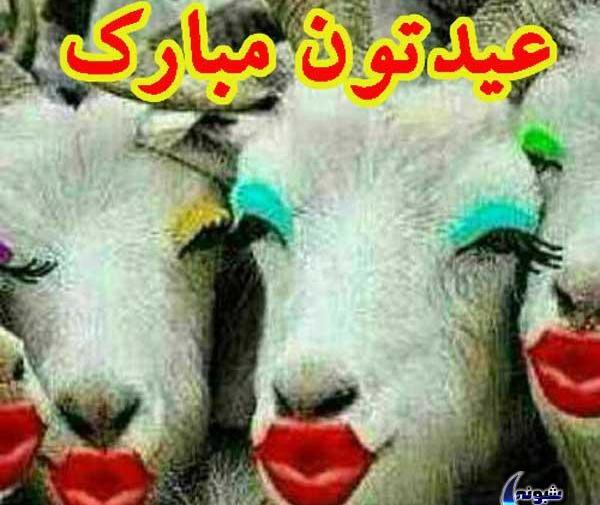 عکس نوشته درباره عید قربان
