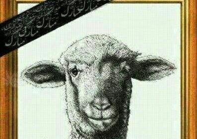 عکس نوشته درباره عید قربان