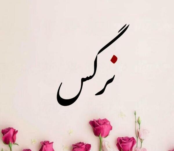 کلیپ عکس نوشته اسم نرگس