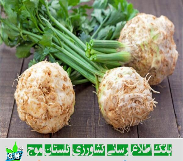 عکس نوشته کرفس