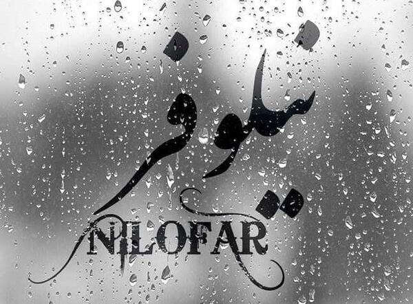 اسم نیلوفر عکس نوشته نیلوفر