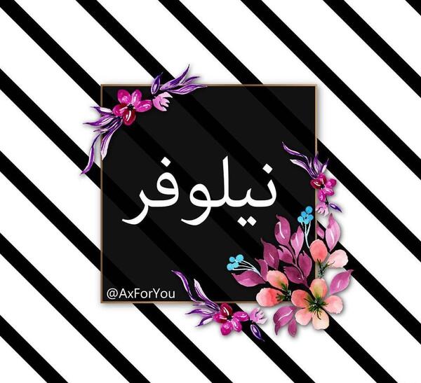 اسم نیلوفر عکس نوشته نیلوفر