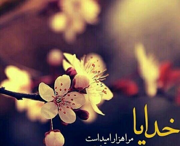 عکس نوشته های حدیث قدسی