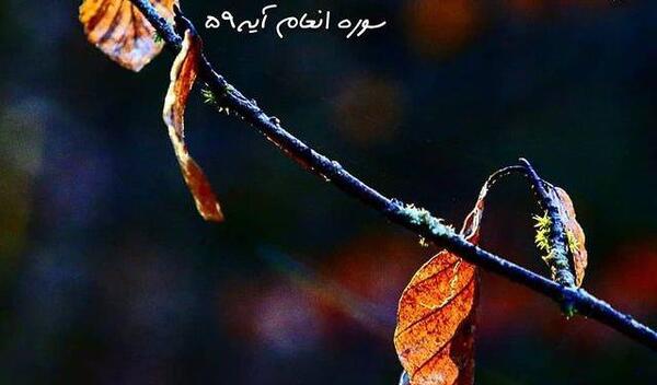 عکس نوشته خدا پناهم باش