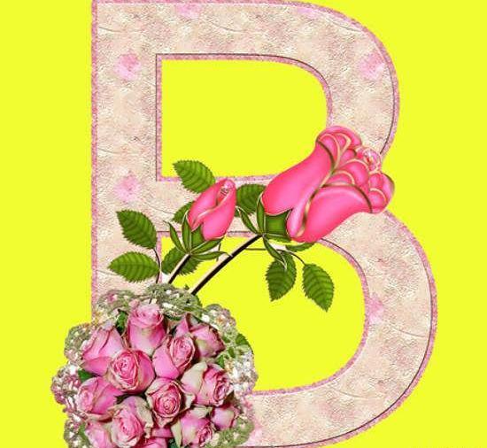 عکس تصویر زمینه b